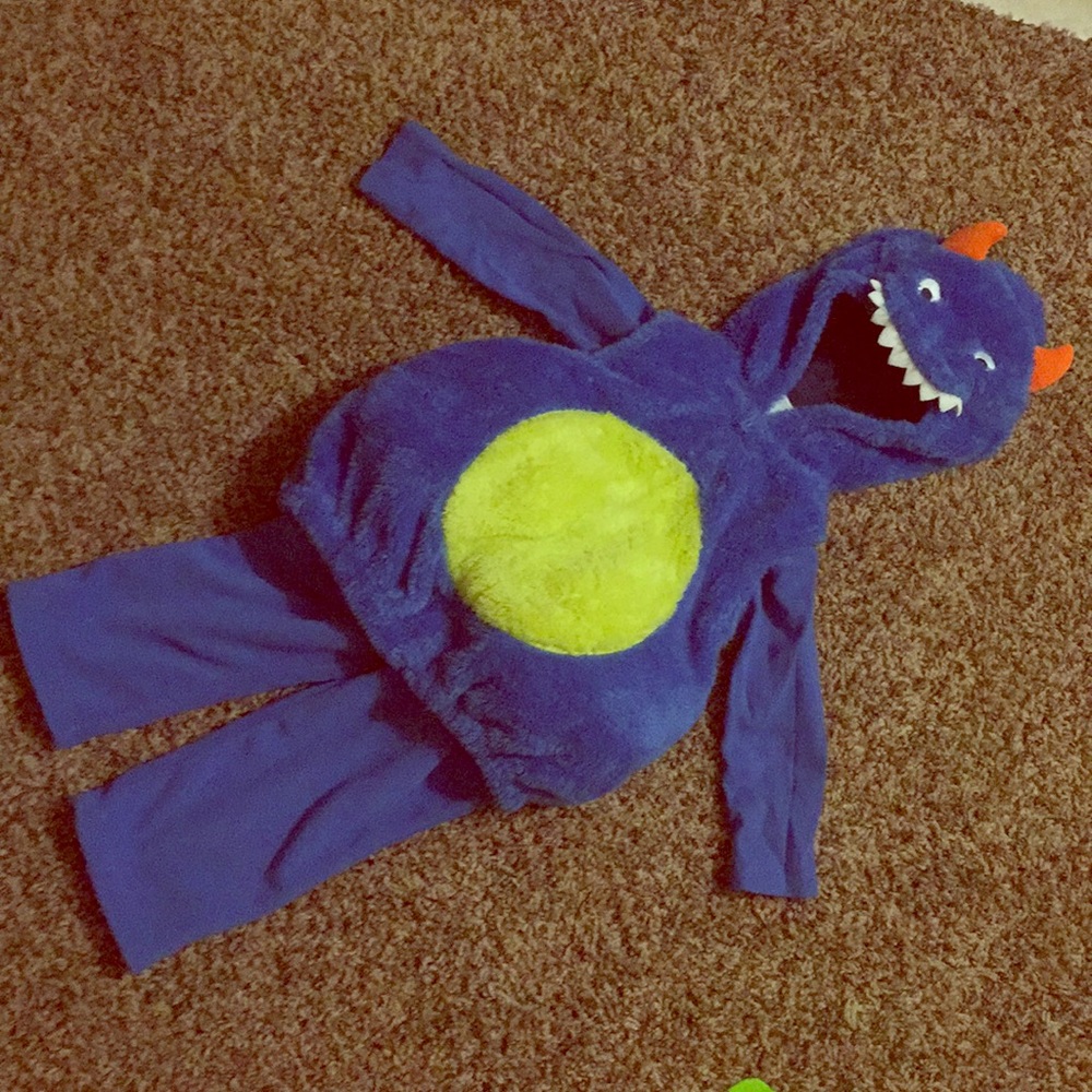 EUC carters 12 months costume
